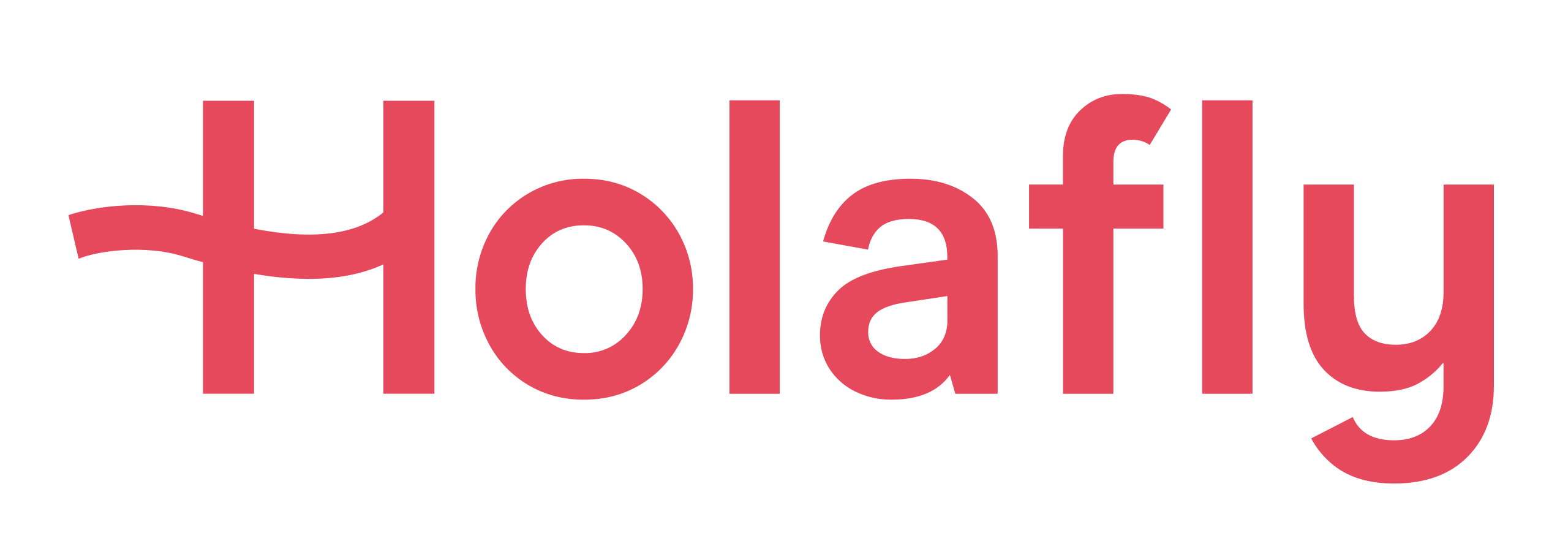 Holafly connessione internet