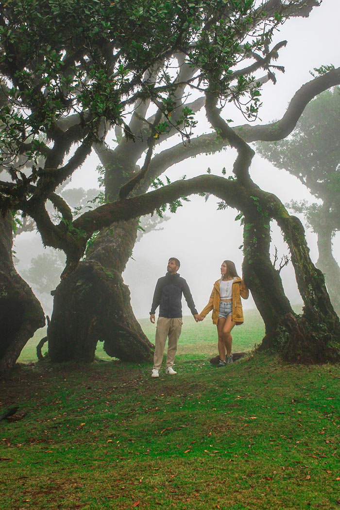 Madeira-Fanal-Portogallo