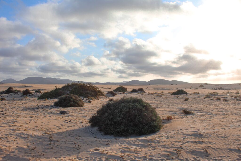 Corralejo-Canarie-Fuertedentura