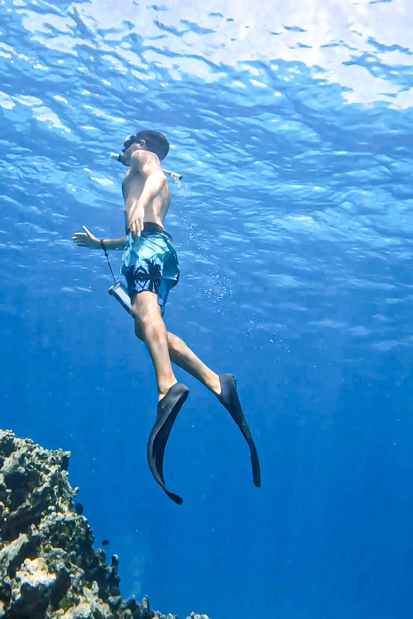 Asia-Maldive-Snorkeling-Gaafaru
