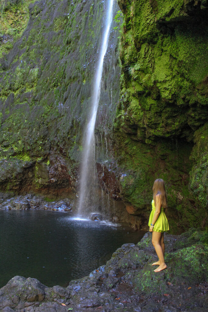 Madeira-Portogallo-Levada-do-Caldeirão-Verde