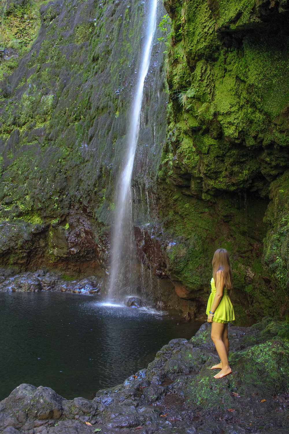 Madeira-Portogallo-Levada-do-Caldeirão-Verde